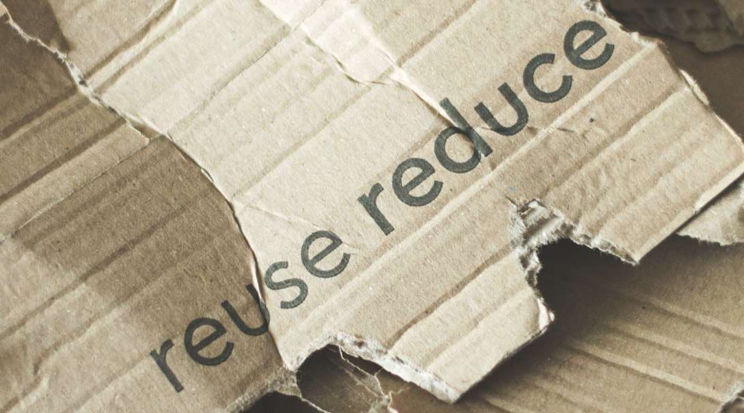 Top 3 ways to package clever for the environment